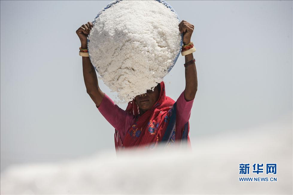 印度古吉拉特邦古法晒盐场的劳工