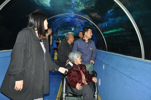 母亲节泰安孝子带残疾母亲游青岛海底世界