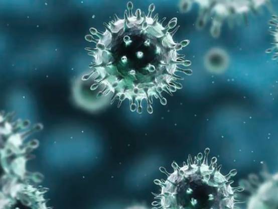 黎巴嫩确诊首例新型冠状病毒感染病例_ 视频中国