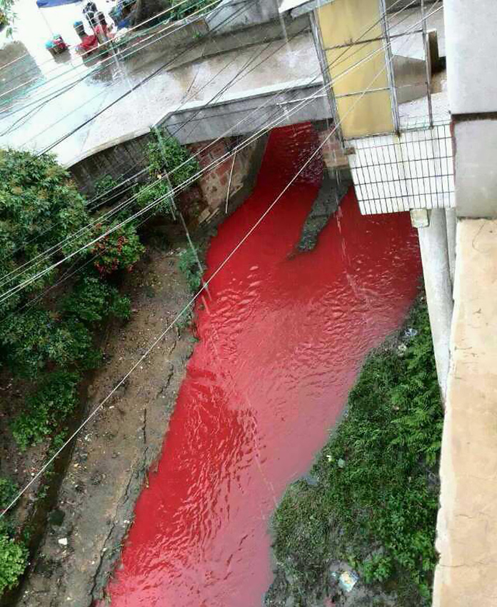 廣東一企業趁暴雨偷排污水“造”紅藍河