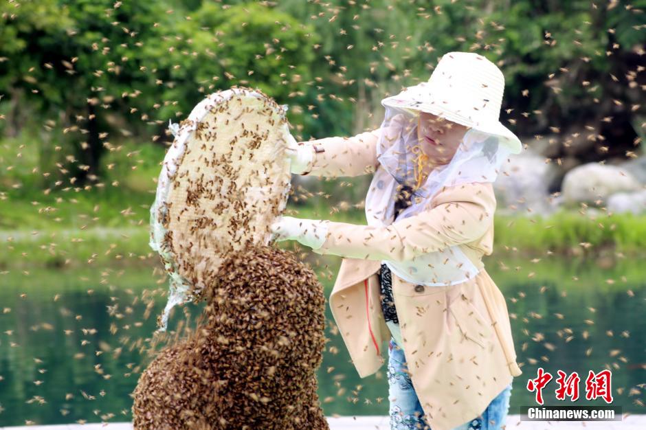 江西“第一蜂人”蜜蜂裹身53分钟 创世界纪录
