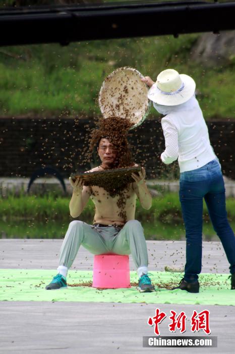 江西“第一蜂人”蜜蜂裹身53分鐘 創世界紀錄