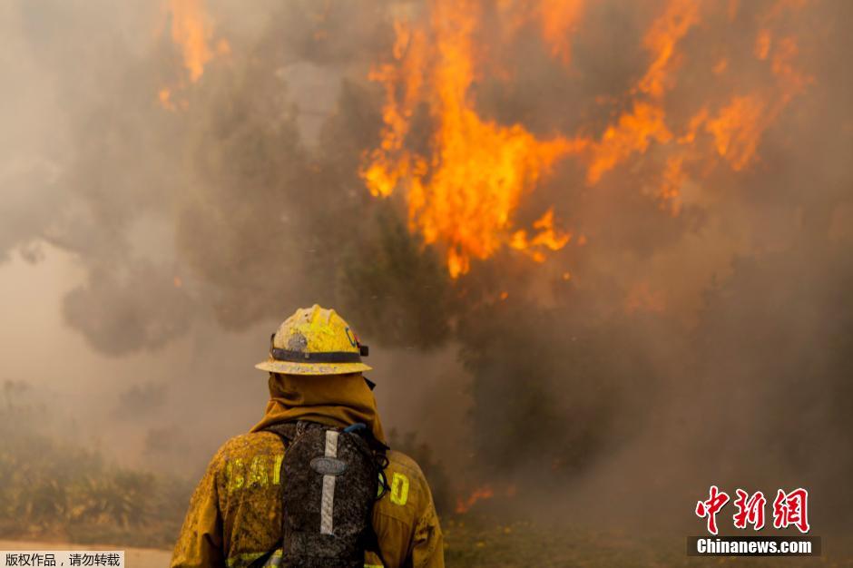 美國加州山火蔓延 過火面積超1500公頃數千人疏散