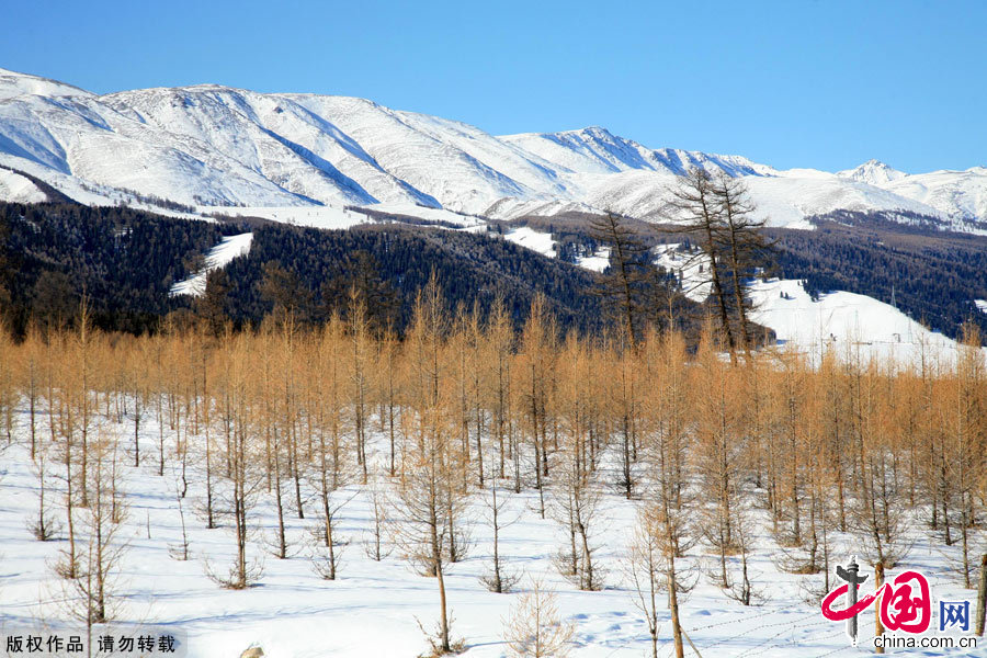 圖為新疆哈密雪後的天山銀裝素裹。