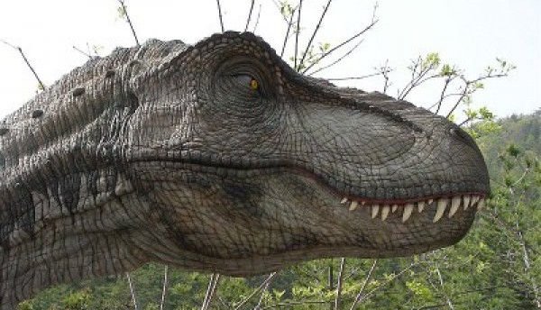 科学家在阿根廷发现了恐龙墓地
