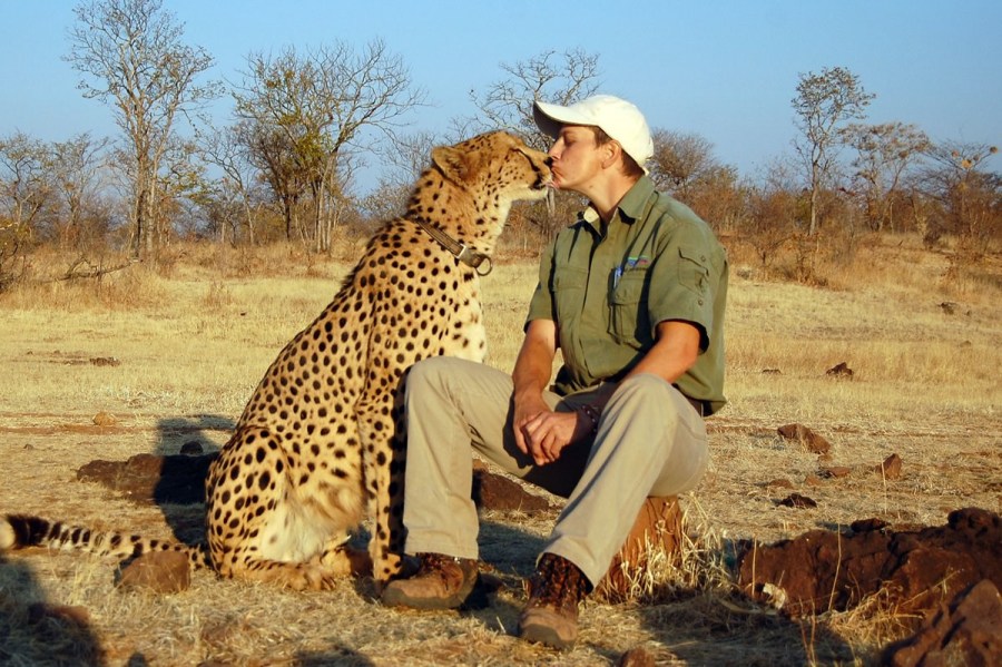 非洲男子收养孤儿猎豹