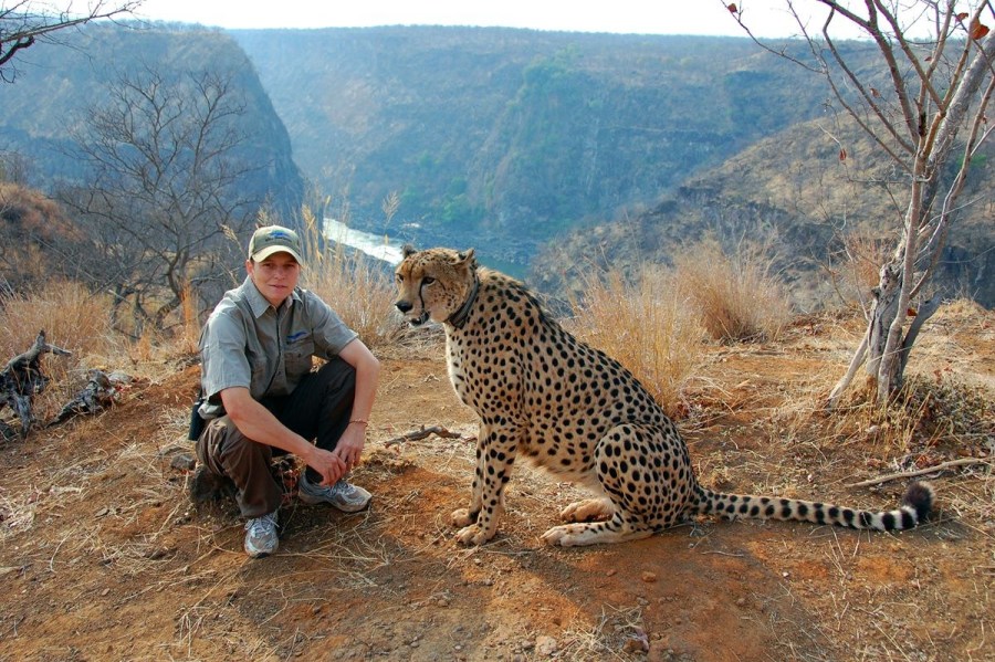 非洲男子收養孤兒獵豹