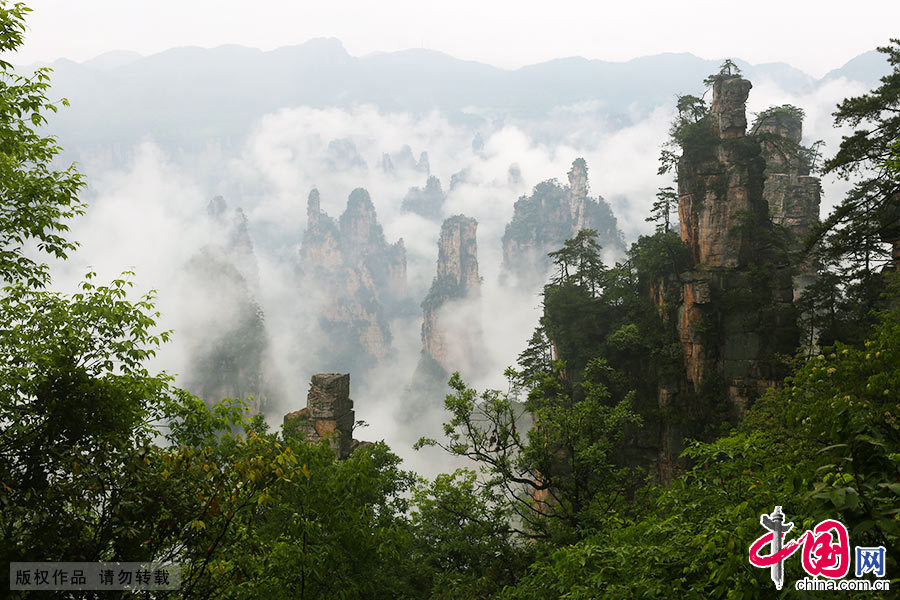 　5月14日，湖南張家界天子山風景區雨後放晴，奇異山峰雲霧繚繞，峰墻、峰林宛若仙境。