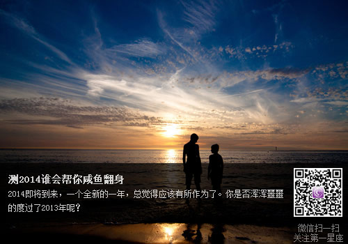 测2014谁会帮你咸鱼翻身