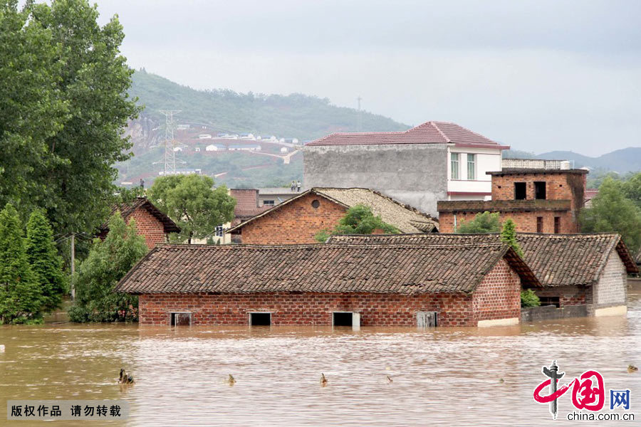 当日，江西萍乡市上栗县遭受大暴雨和特大暴雨袭击，部分乡镇村庄受灾严重，农田被淹，道路被冲毁。 谢树舜 摄 