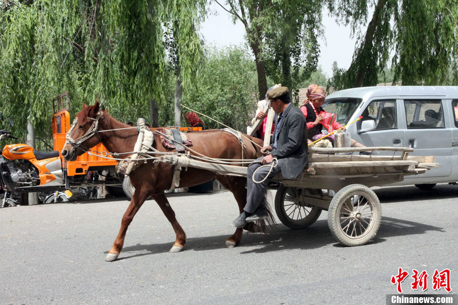 在新疆阿克苏体验“赶巴扎”