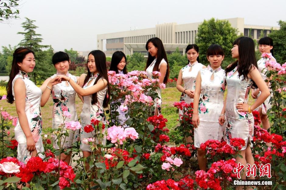 西安女大學生穿旗袍拍畢業照