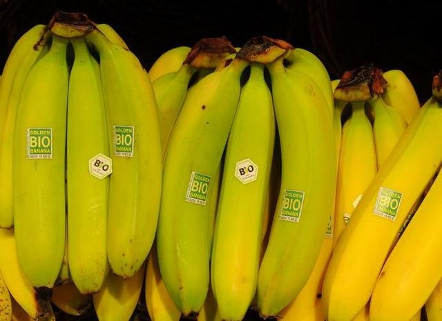 澳科研人员将首展开转基因香蕉人体试验