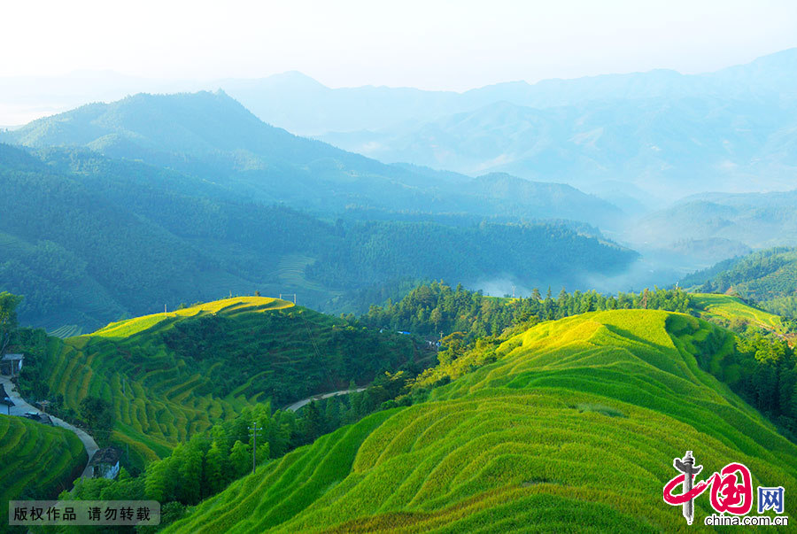 由近万亩高山梯田群落组成的崇义上堡梯田，被上海大世界基尼斯评为“最大的客家梯田”