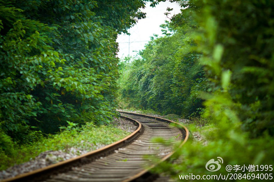南京现最“清新”铁路 引网友称赞