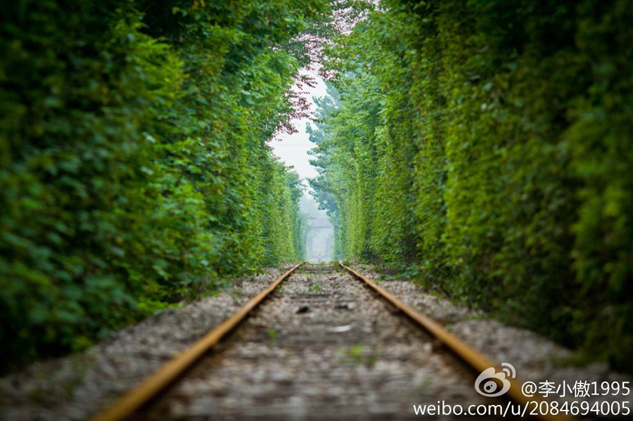 南京现最“清新”铁路 引网友称赞