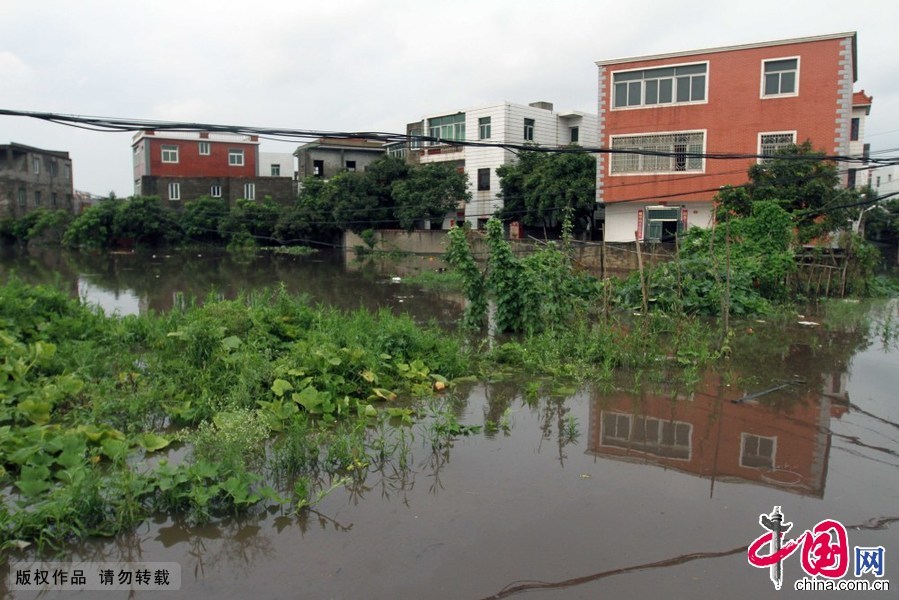 6月19日，在福建省厦门市海沧区后坑村，房屋被淹。