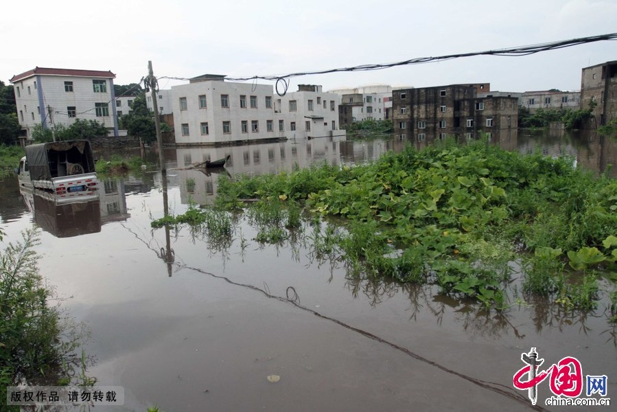 这是6月19日拍摄的积水严重的福建省厦门市海沧区后坑村。