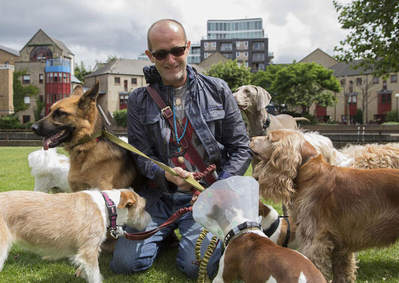 英男子与狗狗流畅交流变“狗语者” 英男子与狗狗流畅交流变“狗语者”