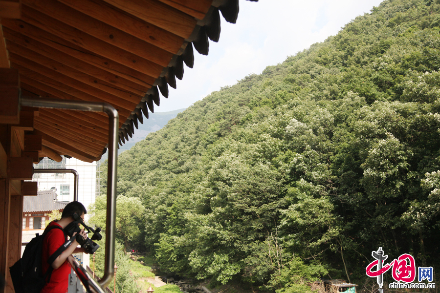  6月18日，“南韓全羅南道考察團”到達光州，並參觀考察了無等山國立國家公園，圖為記者拍攝無等山國立公園美景。 中國網記者 李佳攝影 