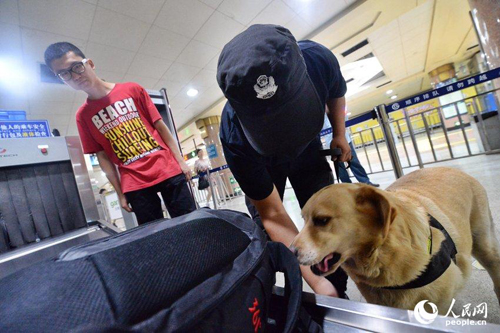 北京12条搜油警犬上岗 专搜汽油等违禁物