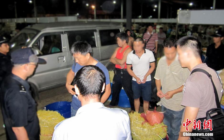 廣州警方繳獲20噸“毒豆芽” 搗毀四個犯罪窩點