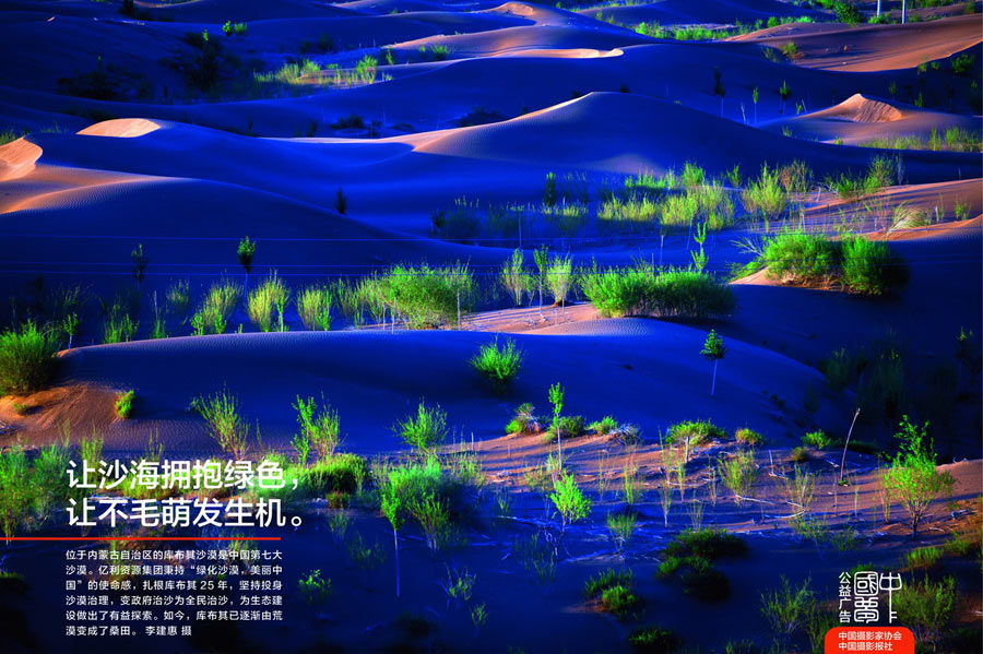 《让沙海拥抱绿色 让不毛萌发生机》