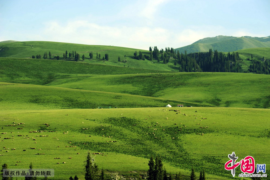 新疆伊寧縣托乎拉蘇大草原美景
