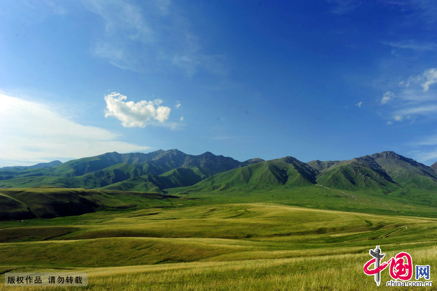 新疆伊宁县托乎拉苏大草原美景