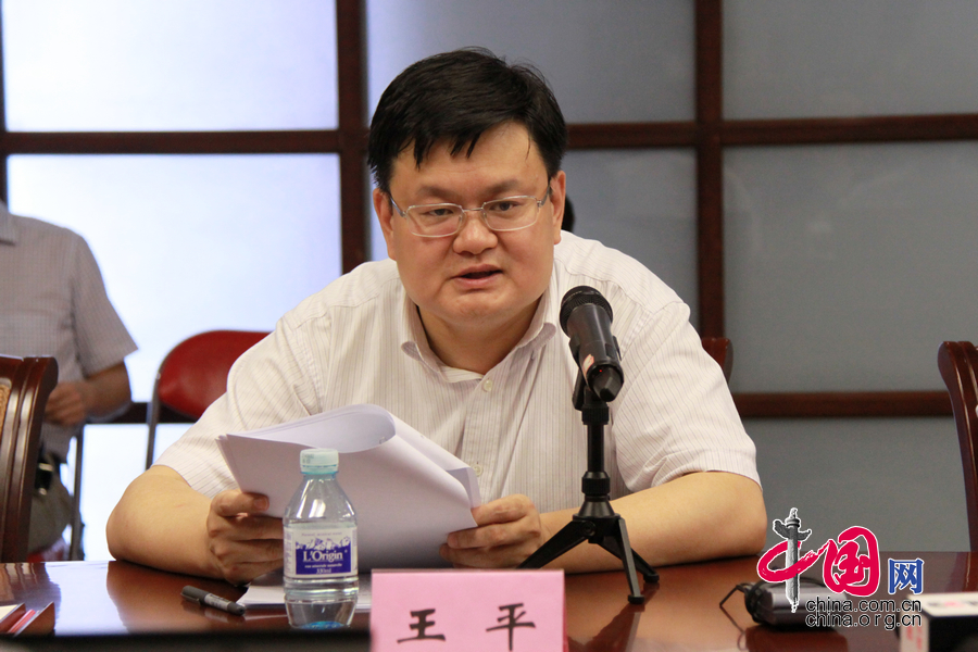 上海市教育委员会副主任张平。 中国网宗超 摄影