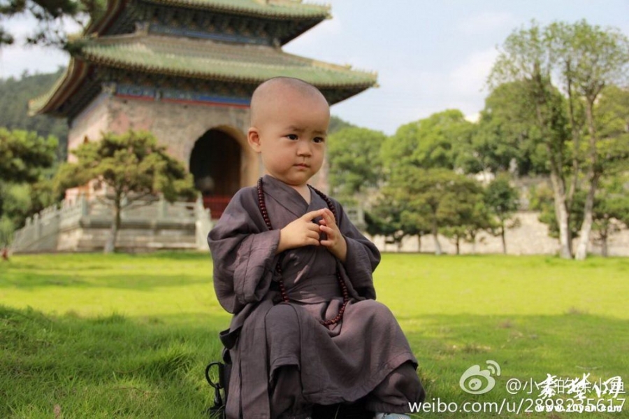 武当山<em>玉虚宫</em> 小和尚 萌翻网友(图)_生活频道_