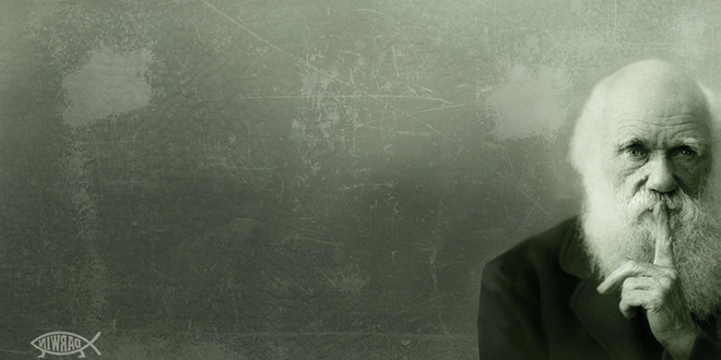 老头的悲哀 老头的悲哀