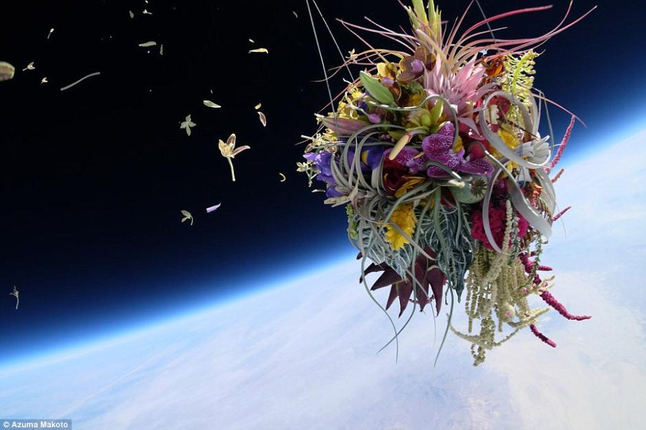 据《每日邮报》7月22日报道，日本艺术家Azuma Makato用氦气球欲将盆栽和插花送上太空，并在气球爆裂之前，用一同上天的照相机拍下那一瞬间美丽的画面。