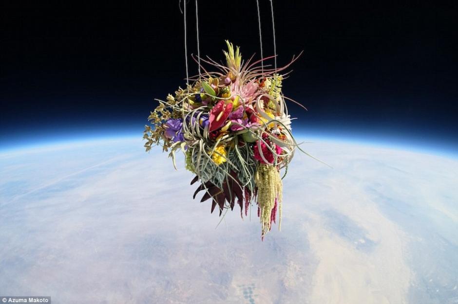 據《每日郵報》7月22日報道，日本藝術家Azuma Makato用氦氣球欲將盆栽和插花送上太空，並在氣球爆裂之前，用一同上天的照相機拍下那一瞬間美麗的畫面。