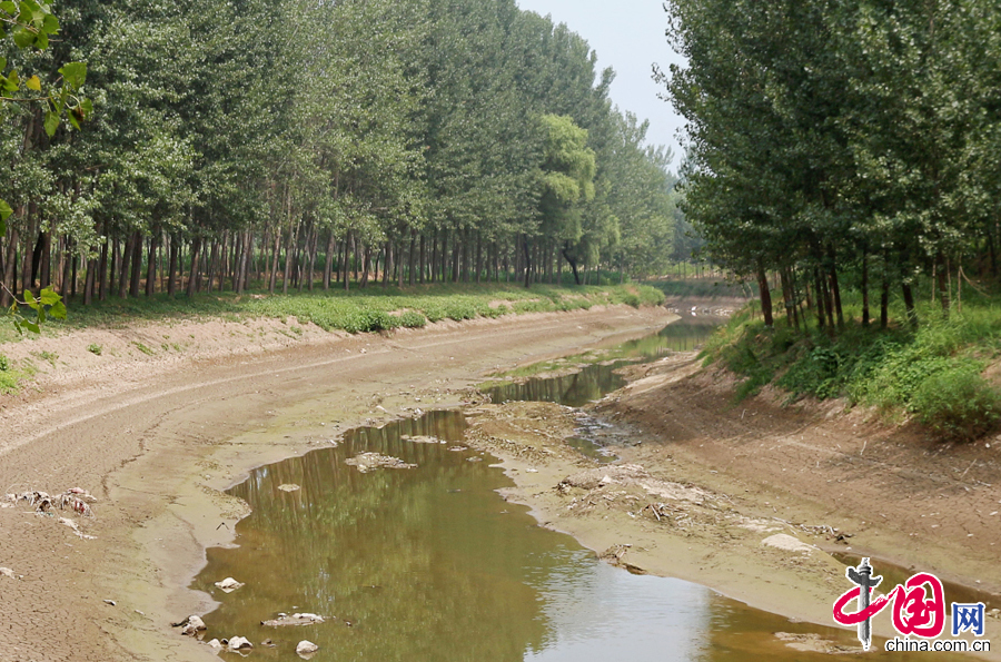 2014年7月28日，河南省浚縣小河鎮梨園村衛河河道近乎斷流。 中國網圖片庫王威攝影
