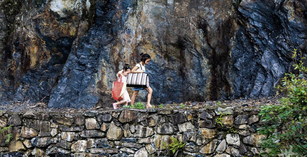 小候鸟的迁徙之路