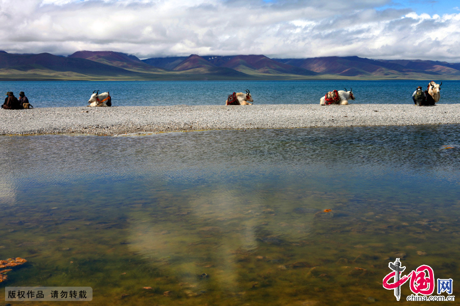 西藏 天湖 纳木错 那曲地区 咸水湖 海拔 天湖 灵湖 神湖 
