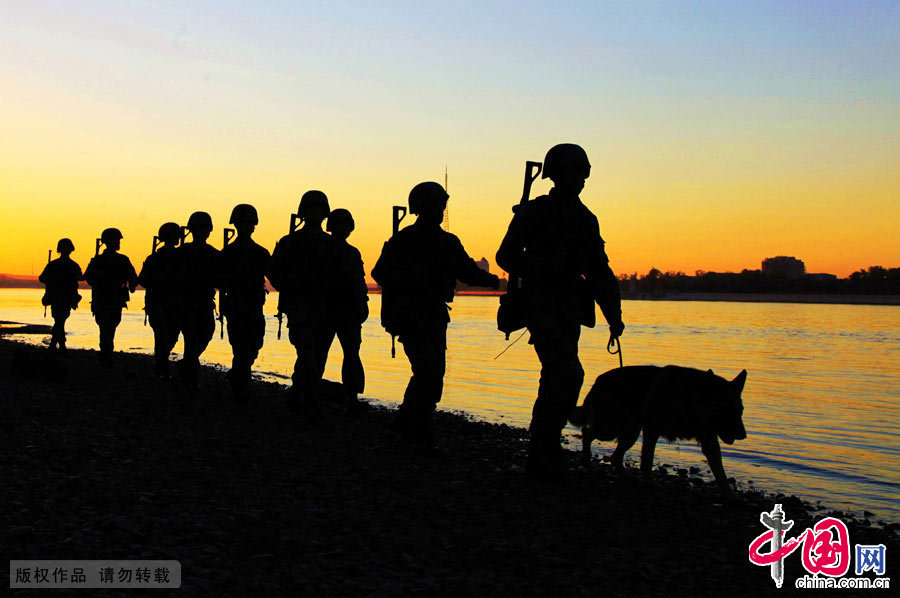 軍犬奇兵