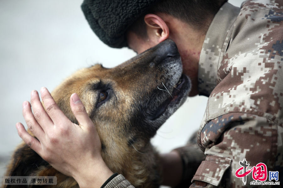 軍犬奇兵