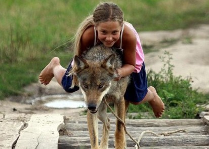 俄罗斯10岁女孩骑狼狂奔
