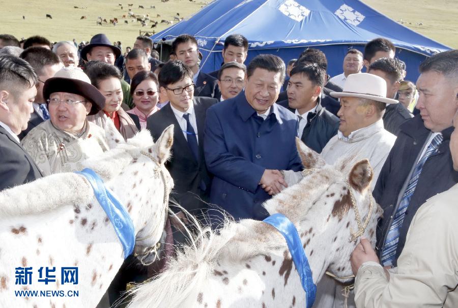 习近平同蒙古国总统额勒贝格道尔吉共同观看那达慕