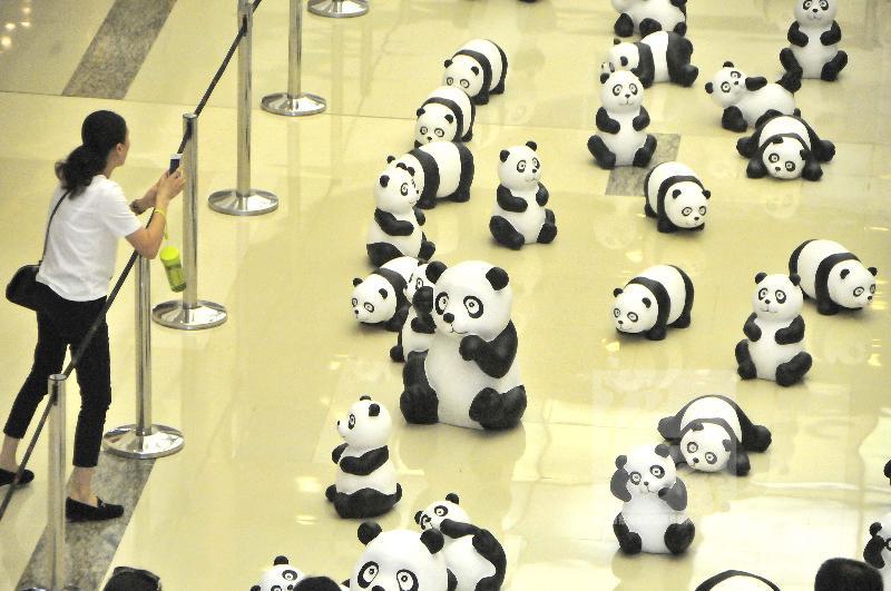 百隻“熊貓”亮相杭州宣傳環保