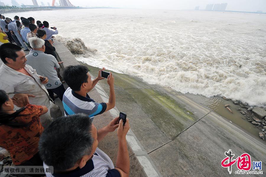 每年的农历七八月份前后，是钱塘江大潮汛的日子。每当这个时节，在位于杭州城郊的七堡至九堡沿江一带，总会吸引着数以千计的观潮者，一睹大潮那排山倒海的雄壮气势。