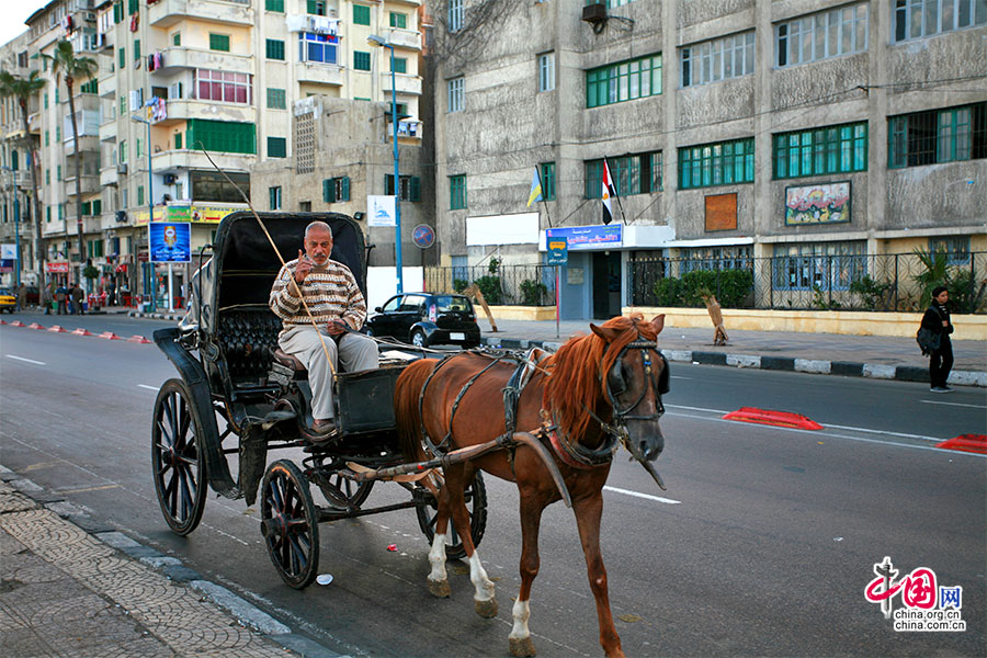 4亚历山大旧城区有许多马车供游人乘坐