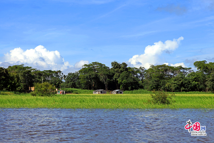 住在河岸边的亚马逊人的房屋