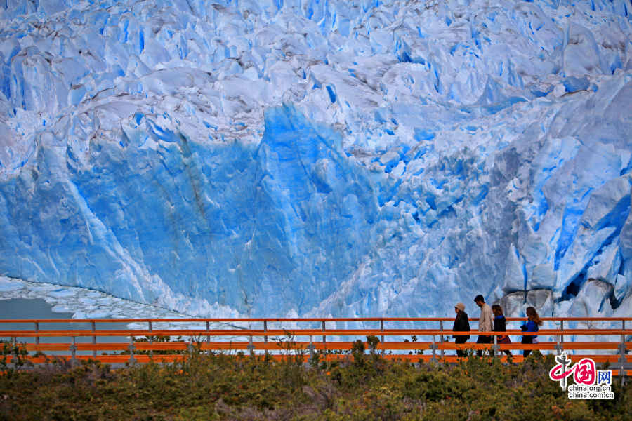 游客与大冰川的近距离接触