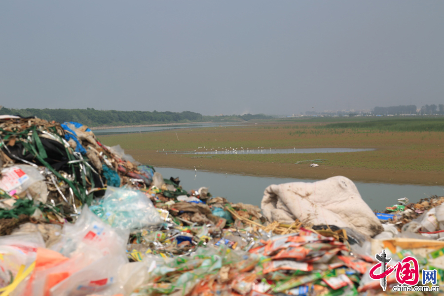  2014年8月30日，位於浙江余姚黃家埠鎮境內的杭州灣一處海涂邊，隨意傾倒的垃圾散發惡臭，蒼蠅成群，不時有卡車前來傾倒垃圾。 中國網圖片庫 竹桃攝影