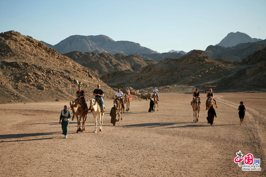 沙漠腹地的贝都因部落需要骑骆驼进入