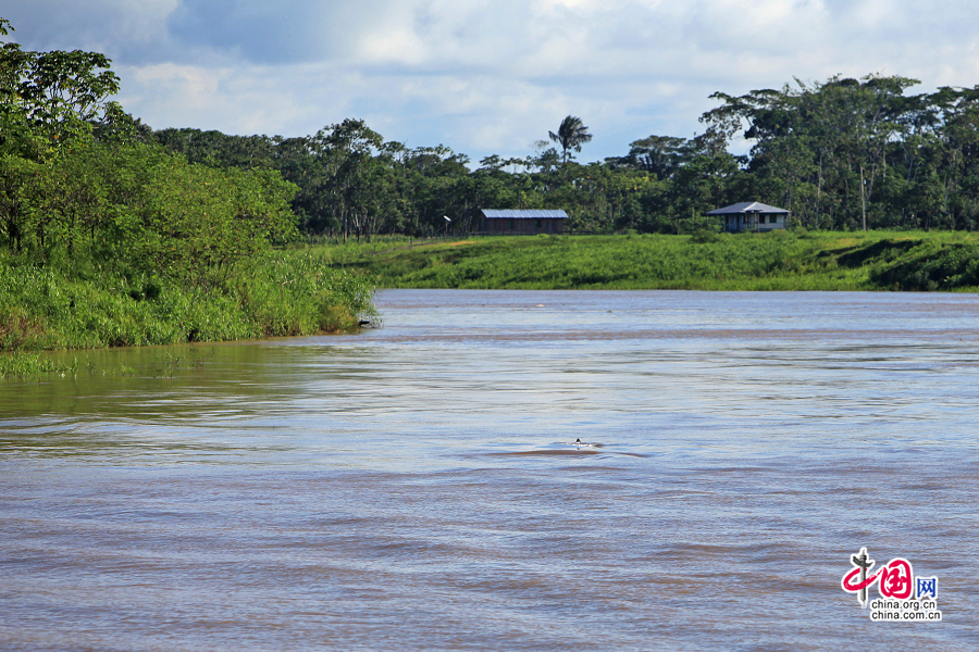 热活巴西(十一)亚马逊河，永远神秘永远新鲜