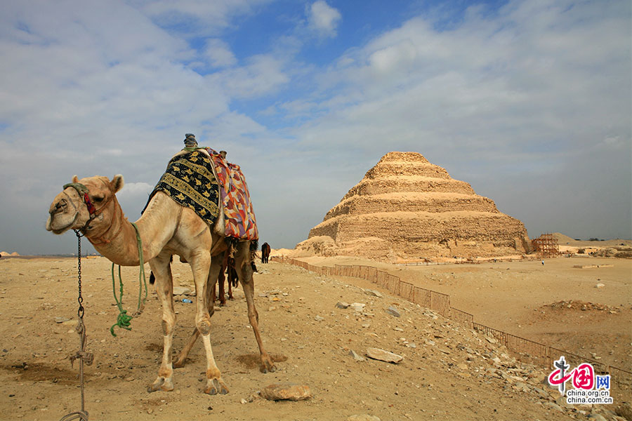 入埃及记(十九)塞加拉，那些另类的金字塔们